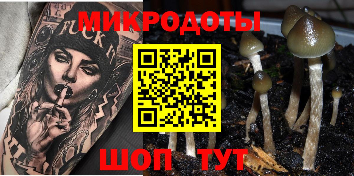 Псилоцибиновые грибы Psilocybine cubensis Клинцы