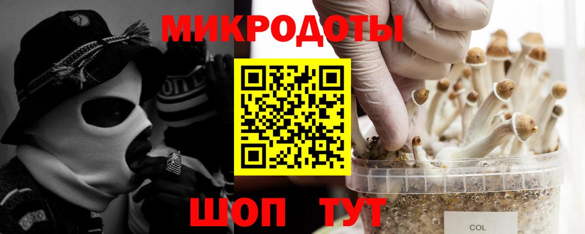 Клинцы  Псилоцибиновые грибы Psilocybe  Вход с VPN 